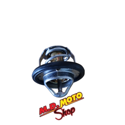 VALVOLA TERMOSTATICA PORTER MULTITECH 1300 BENZINA EURO 6-1A005593