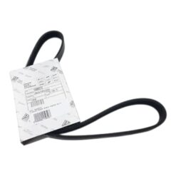 1A005573 CINGHIA POMPA ACQUA PIAGGIO PORTER EURO-6